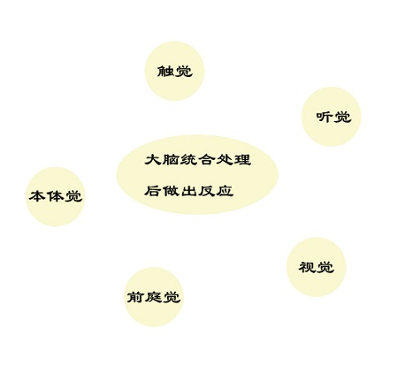 5歲女兒注意力不集中可能是感統失調導致的